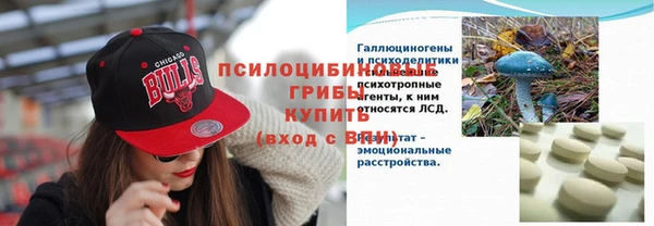 шишки Богородск