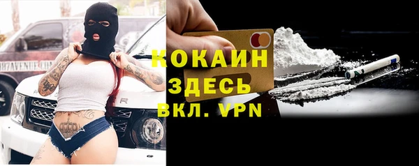 шишки Богородск