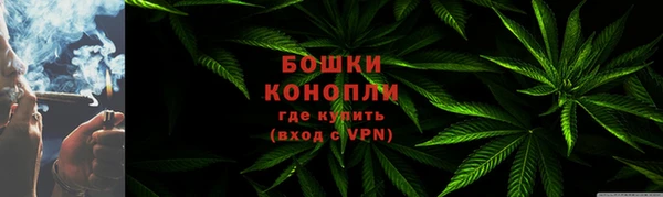трава Богородицк