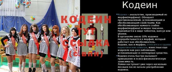 шишки Богородск