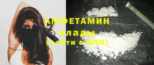 шишки Богородск