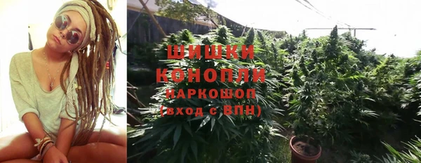 ALPHA PVP Богданович